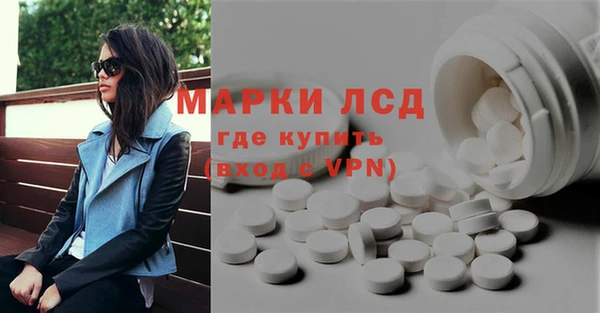 шишки Абаза