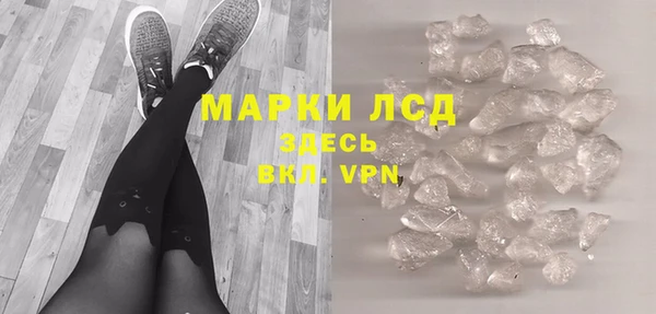 шишки Абаза