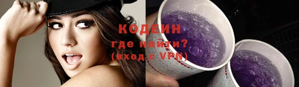 шишки Абаза
