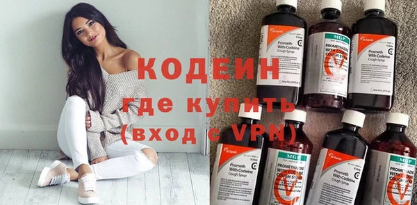 шишки Абаза